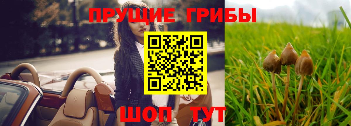 Уварово  Галлюциногенные грибы Cubensis  Вход с VPN 